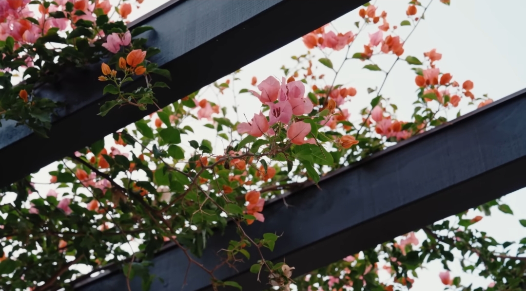 소피아 베르가라 LA 집 인테리어 | 인스티즈