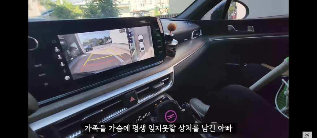 가족들 몰래 고양이를 갖다버린 아빠 | 인스티즈