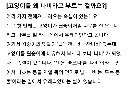 우리나라는 왜 고양이를 "나비야~"라고 부르게 됐을까 | 인스티즈