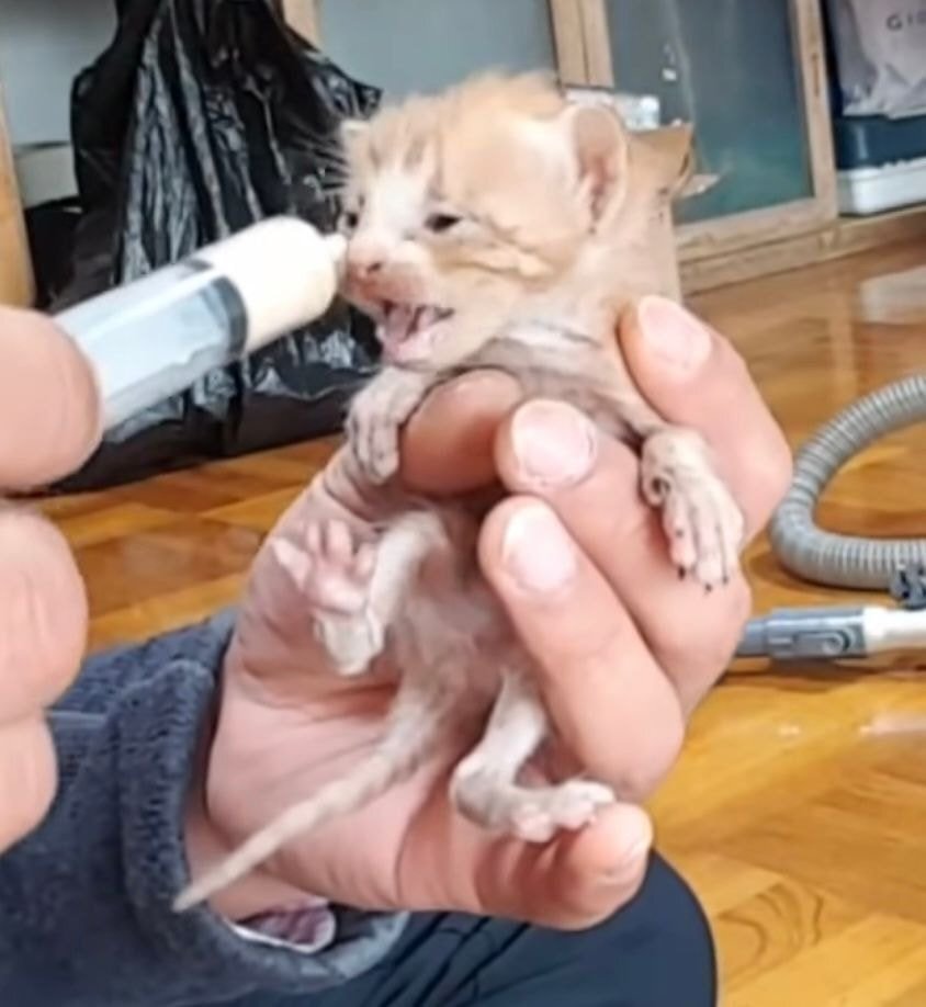 b4aef58d2b6777cd791ffa2011b5b02ac62f5c31