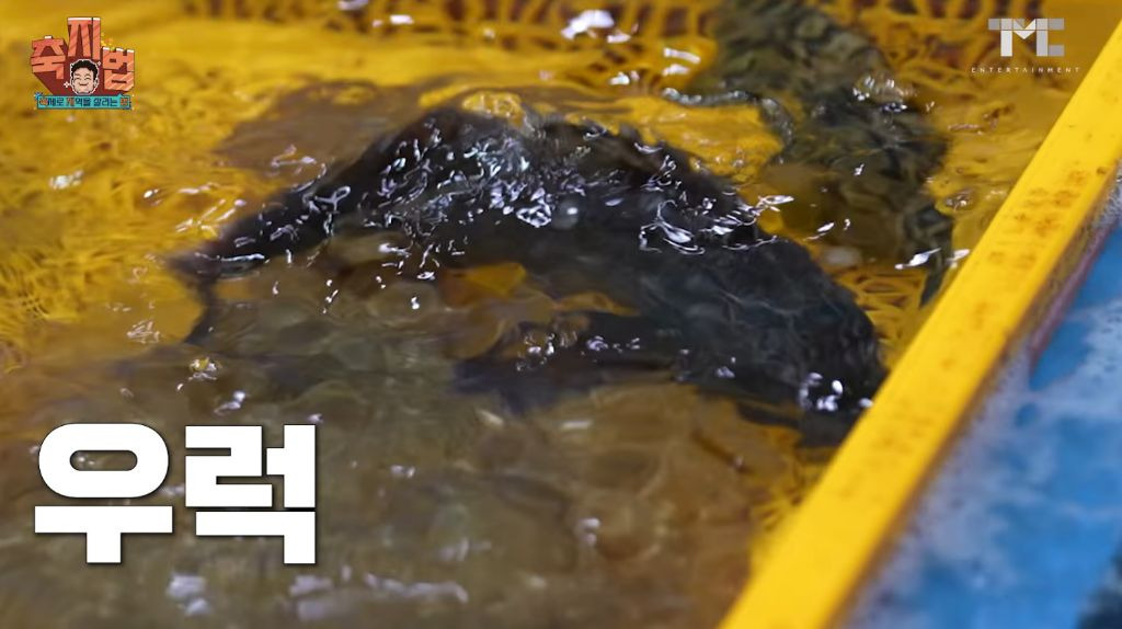 이번에 아예 통영 수산물 축제 새로 만든 백종원.JPG | 인스티즈