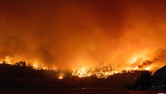 동양신화로 보는 귀신이 복숭아나 복숭아나무를 싫어하는(무서워하는) 이유 | 인스티즈