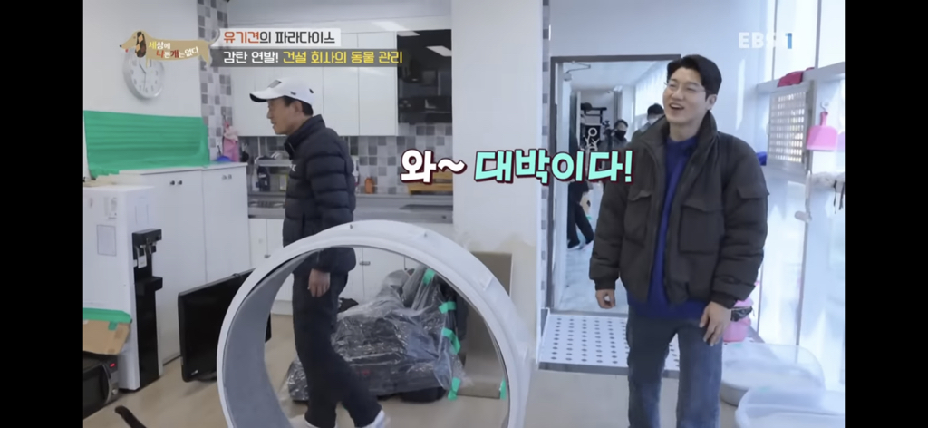 [세상에나쁜개는없다] 유기견의 파라다이스 | 인스티즈