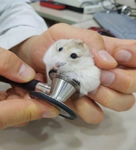 아빠 집배원하시는데 ㅎ.. 너만한 애들이 부모님 등기받는경우 많다고 신기하대 | 인스티즈