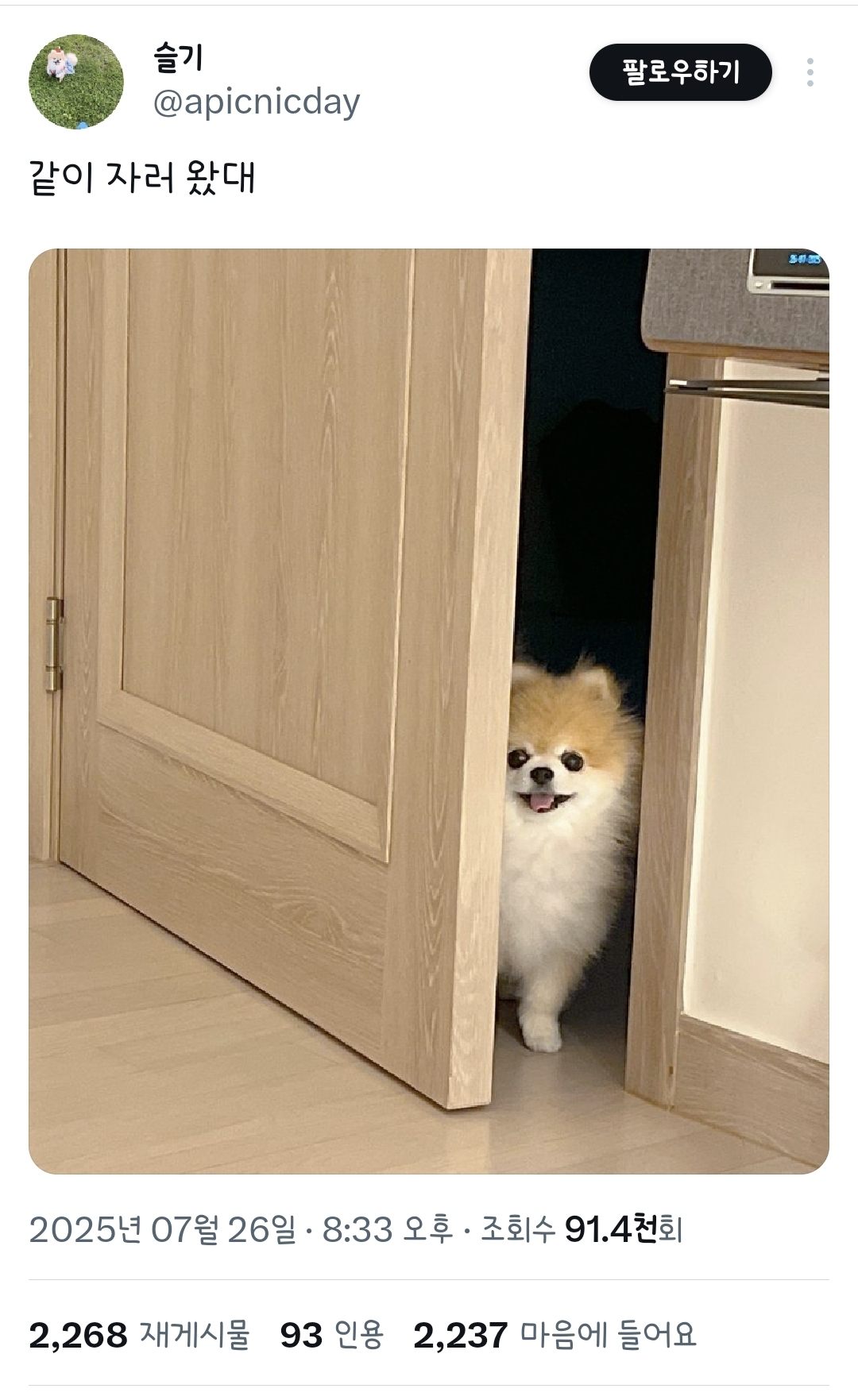 같이 자러 왔대 | 인스티즈