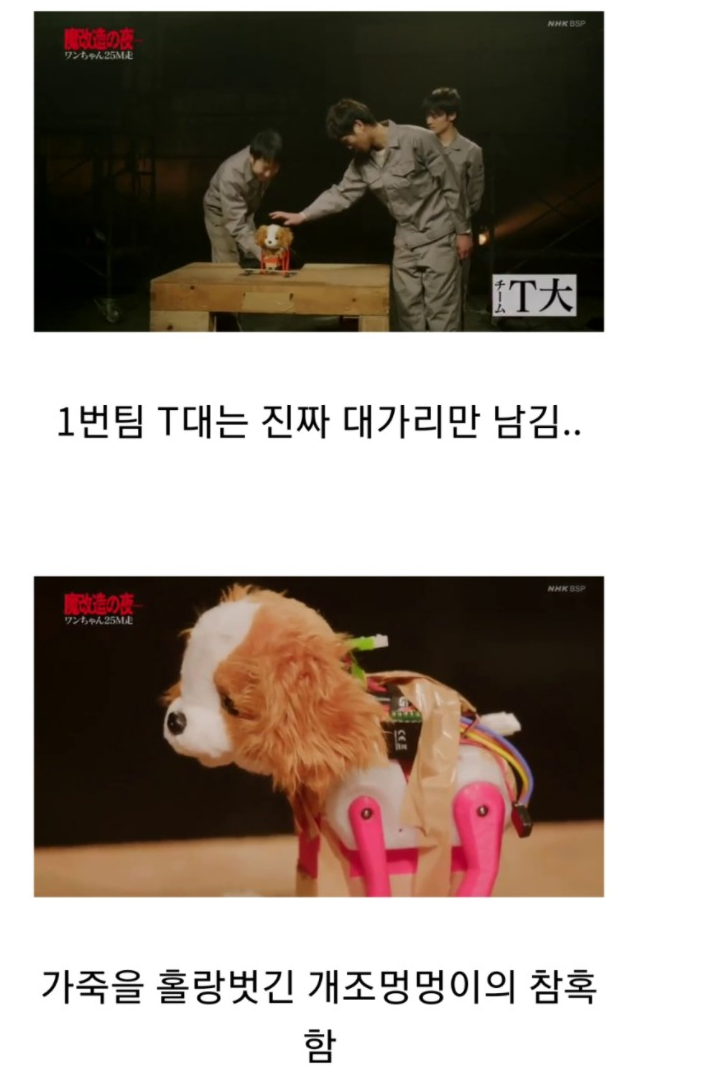 마개조의밤 강아지 완구를 개조하는 일본 자동차 엔지니어들 | 인스티즈