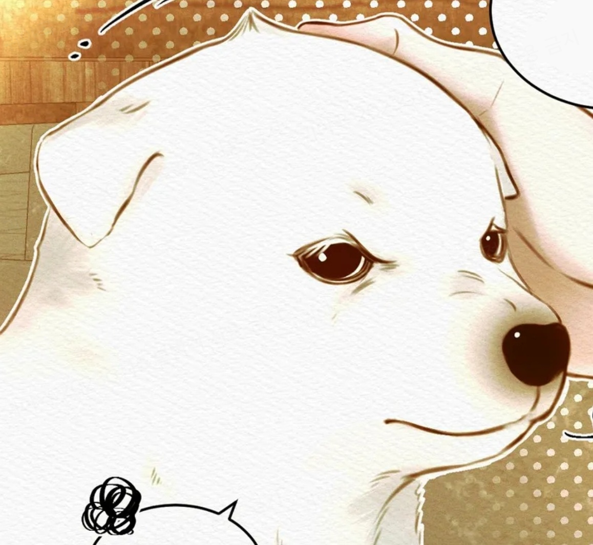 한복과 댕댕이에 진심인 거 같은 BL 웹툰 | 인스티즈