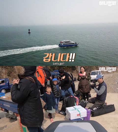 섬마을 남매가 강아지를 환영하는 완벽한 방법 | 인스티즈