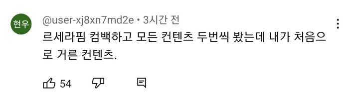 재재한테 악플 테러중인 르세라핌 남덕들 | 인스티즈