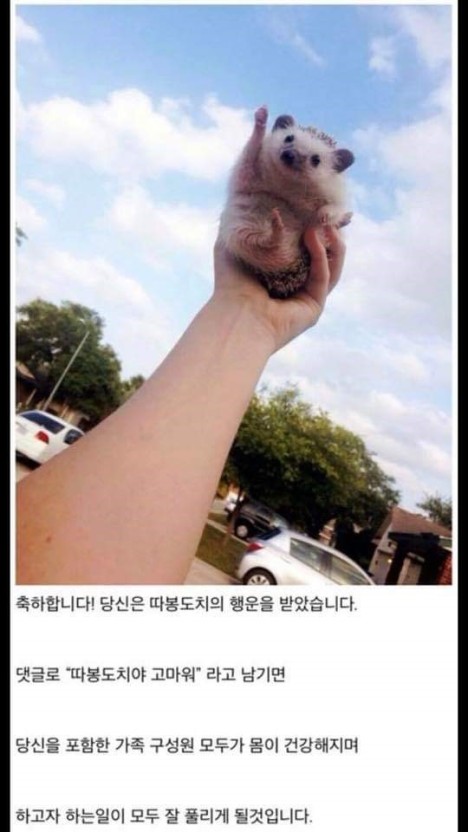 따봉 이미지