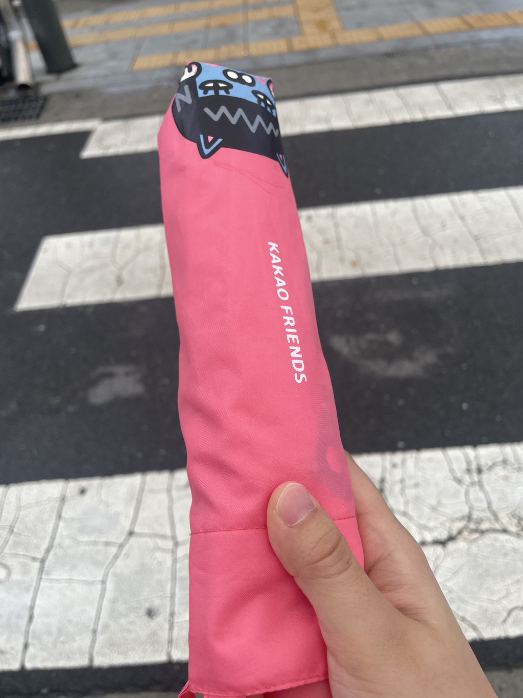 와 나 기차에서 우산 잃어버림 보부상이라 다행이다 | 인스티즈