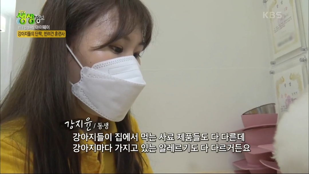 강아지 유치원.jpg | 인스티즈