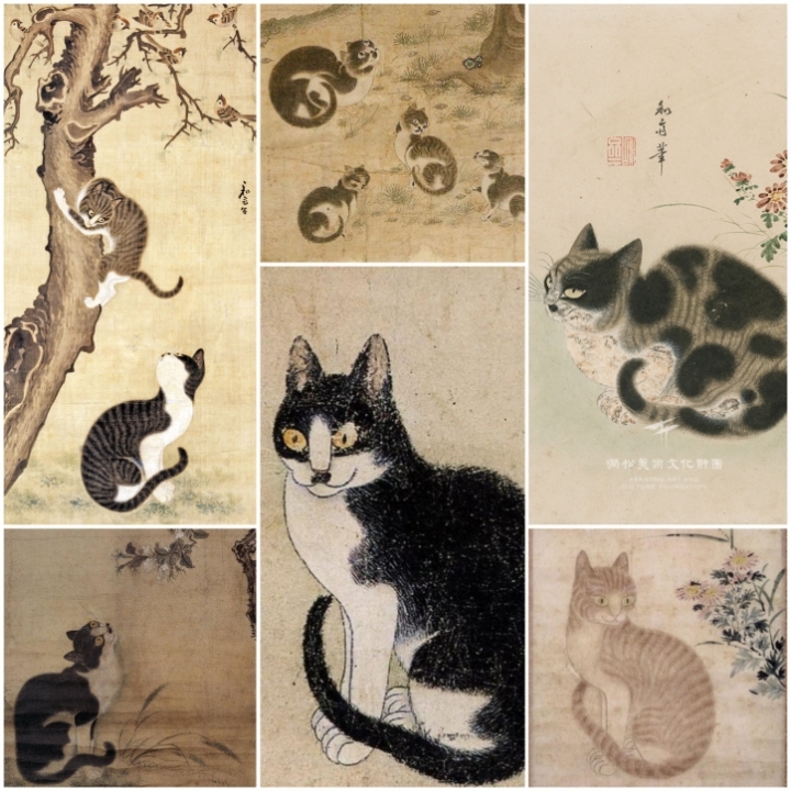 우리나라는 왜 고양이를 "나비야~"라고 부르게 됐을까 | 인스티즈