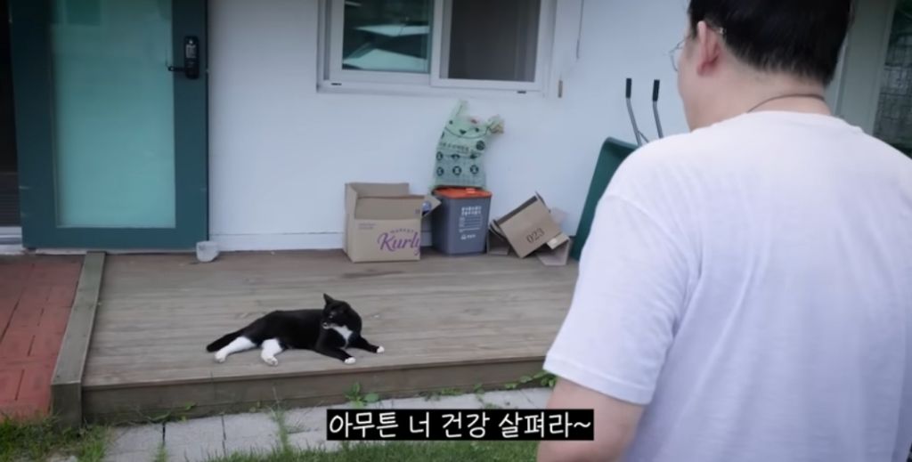 신발 물어 뜯은 고양이 찾아간 이영자 | 인스티즈