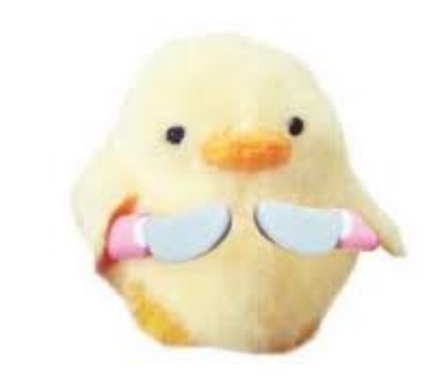 칼든병아리는 어디서 시작했을까 | 인스티즈