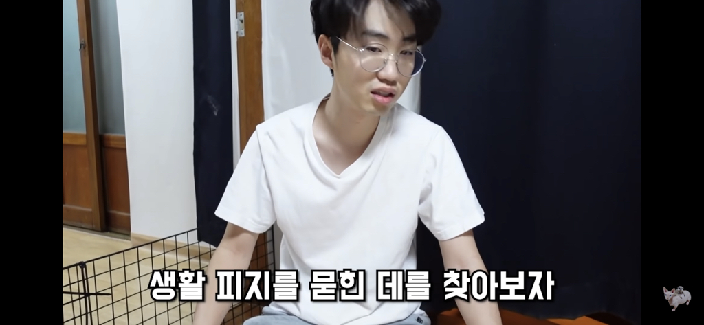 털이 없는 스핑크스는 키우기 편할까? (위생주의) | 인스티즈