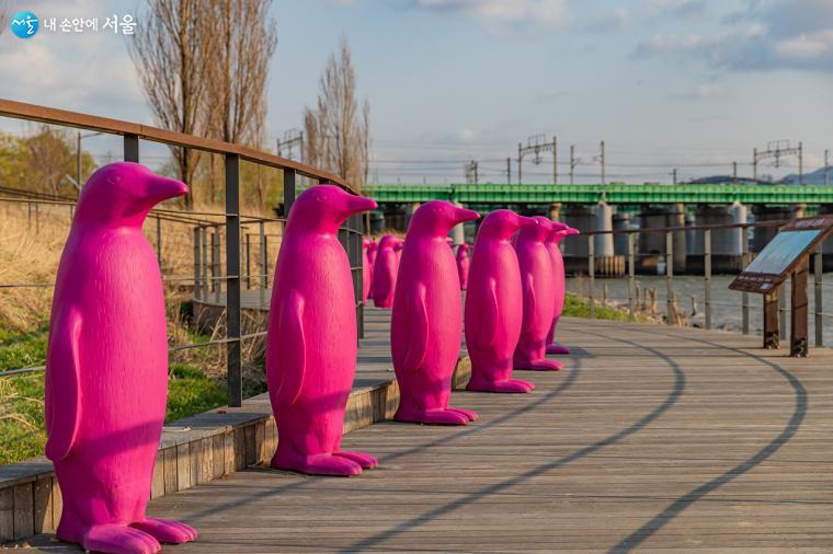 김건희의 분홍색, 이번 한강버스도 분홍색이 있다‼️⁉️ | 인스티즈