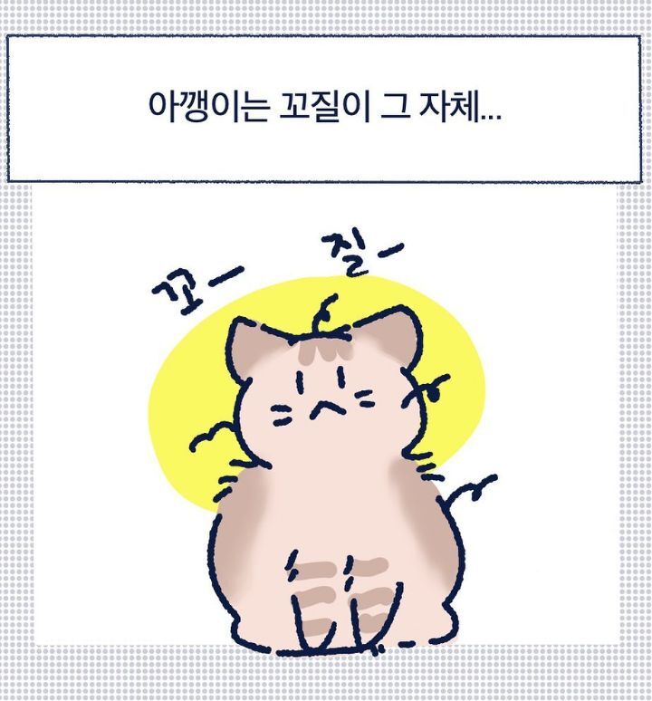 아깽이들은 왜...? | 인스티즈