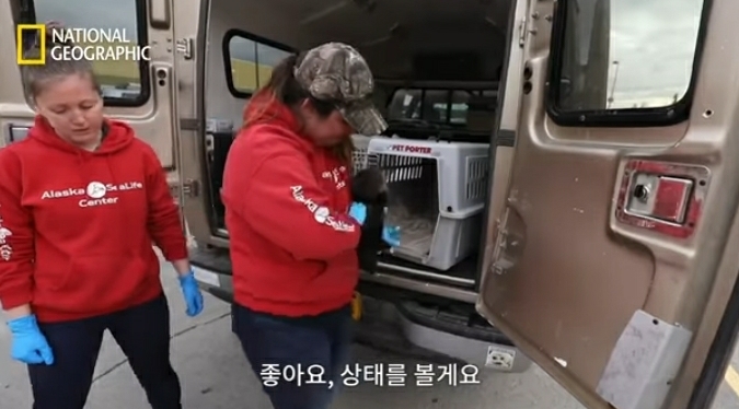 어미잃은 생후 1일차 새끼 해달 구하기 | 인스티즈