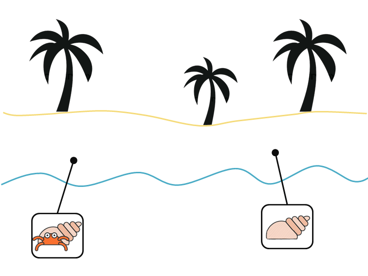 소라게의 새 집 구하기 | 인스티즈