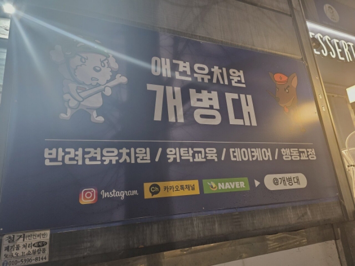 애견유치원 이름 | 인스티즈