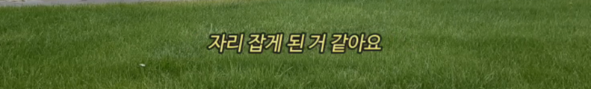 아이슬란드 하숙 한달살기 그런데 이제... | 인스티즈