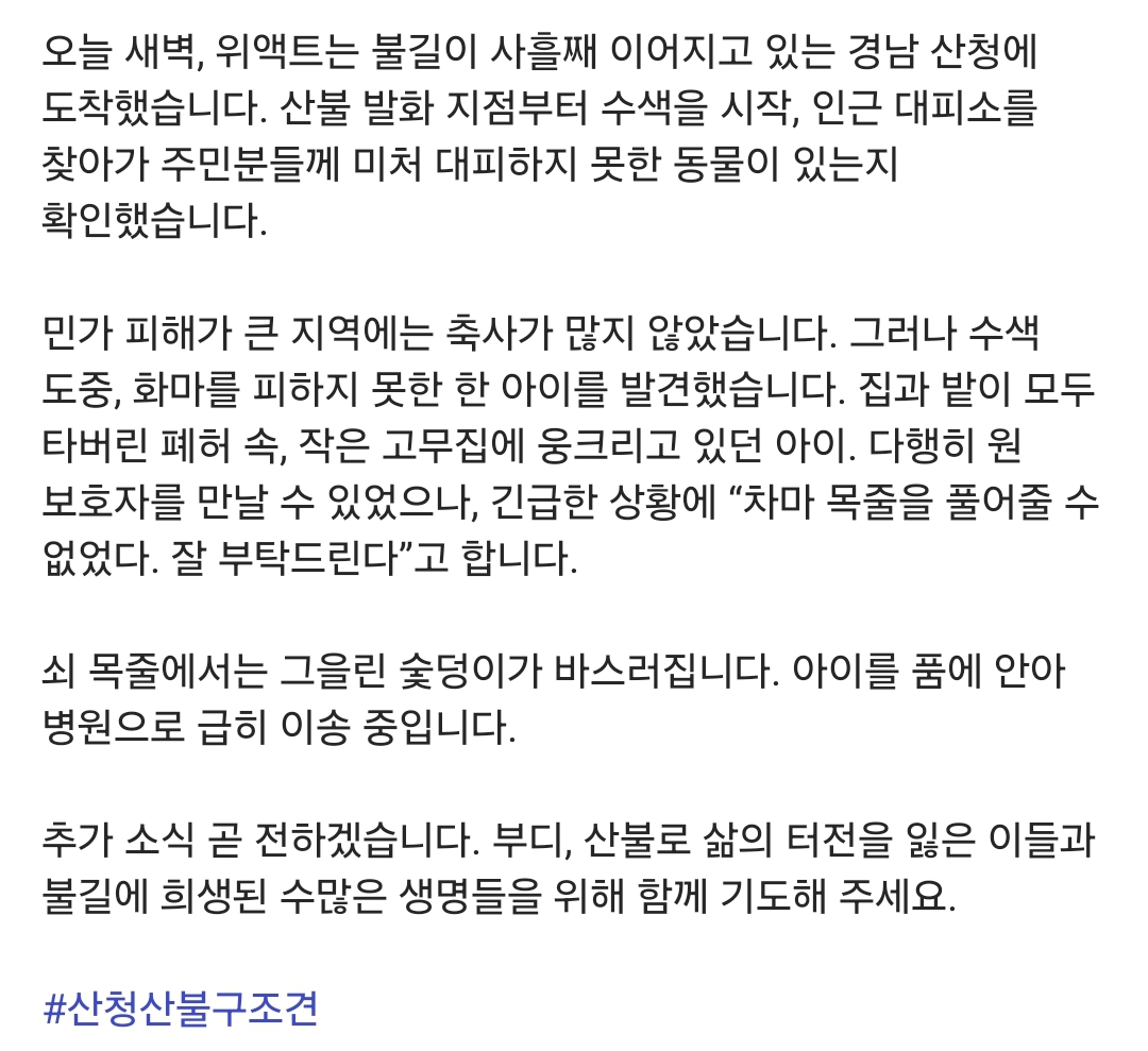 산청 산불에 주인이 목줄을 풀러주지 않아 고무집에 웅크리고 있던 강아지 | 인스티즈