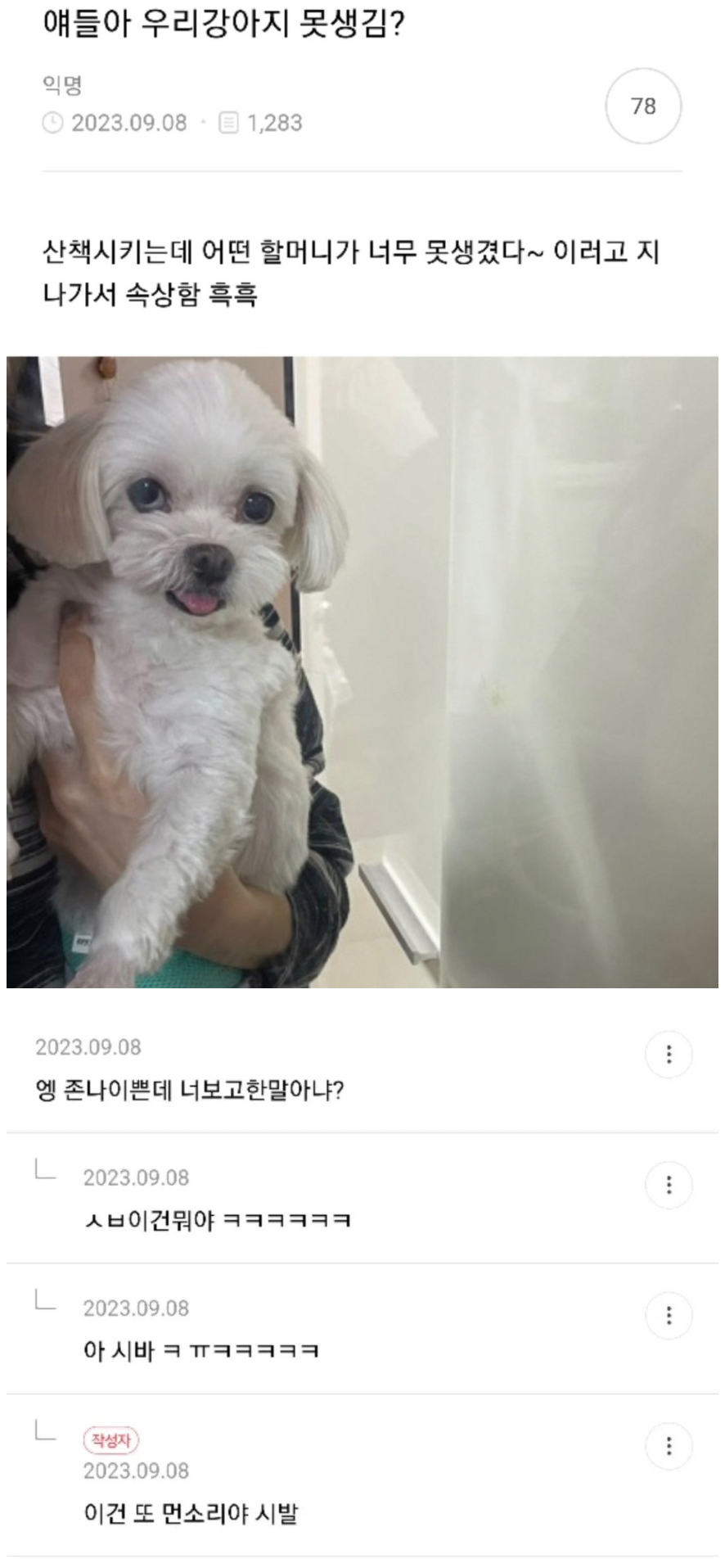 얘들아 우리 강아지 못생김? | 인스티즈
