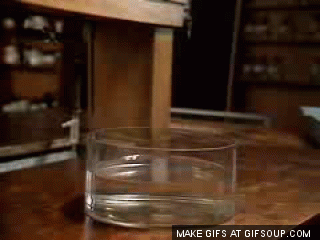 경이로운 과학 실험 | 인스티즈