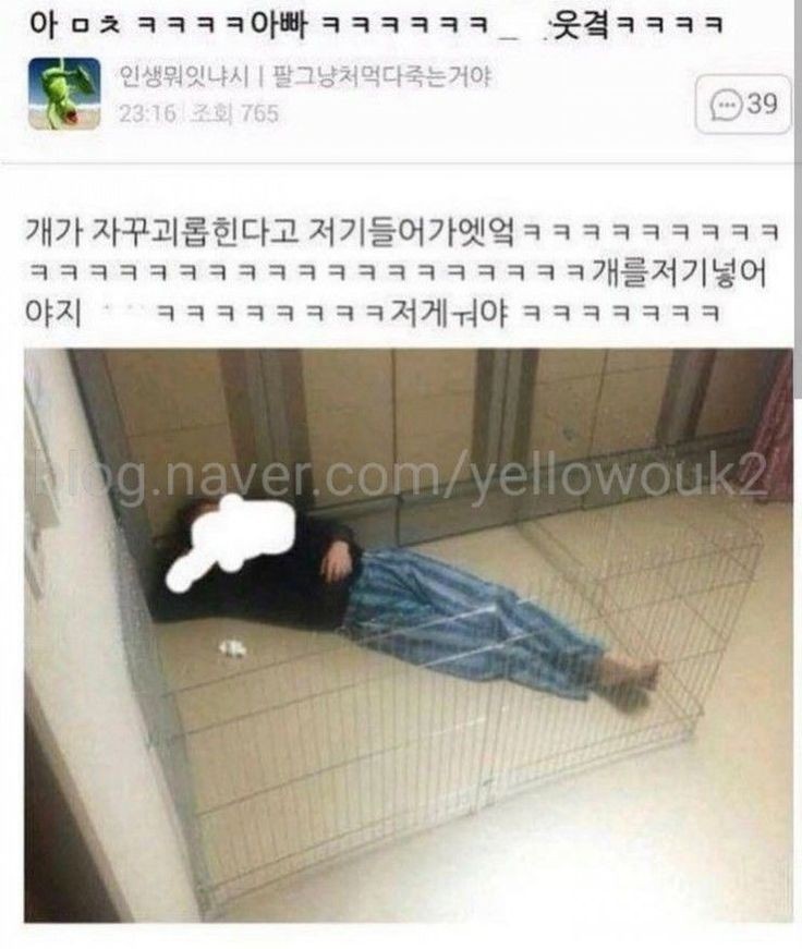갤러리 짤털 짤털 짤털 짤털 짤털 짬털 (100장 깍 채움) | 인스티즈