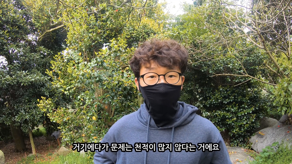 고양이가 자연생태계에 끼치는 심각한 영향(새 사체사진있음) | 인스티즈