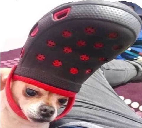 인스타 부계에 힘들때마다 올린짤 모음Zip | 인스티즈