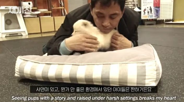 개농장에서 구출됐던 강아지 꽃님이의 버르장머리 없어진 최근 모습 | 인스티즈