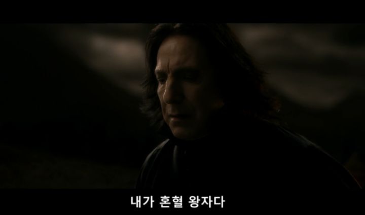 [해리포터와혼혈왕자] 아니 그래서 도대체 영화랑 책이 다른게 뭐여 | 인스티즈