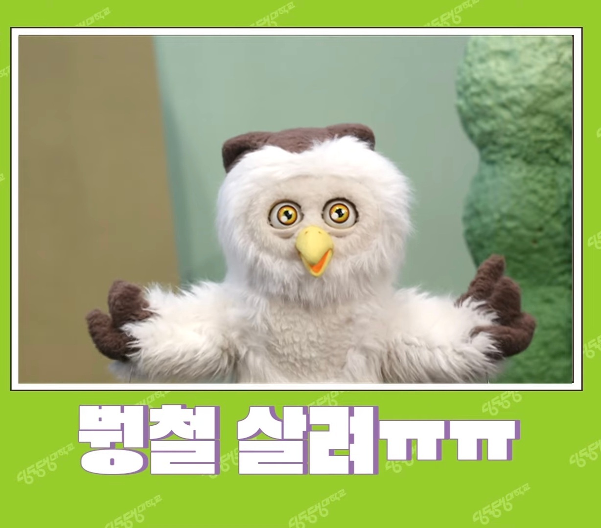 딩동댕 이미지