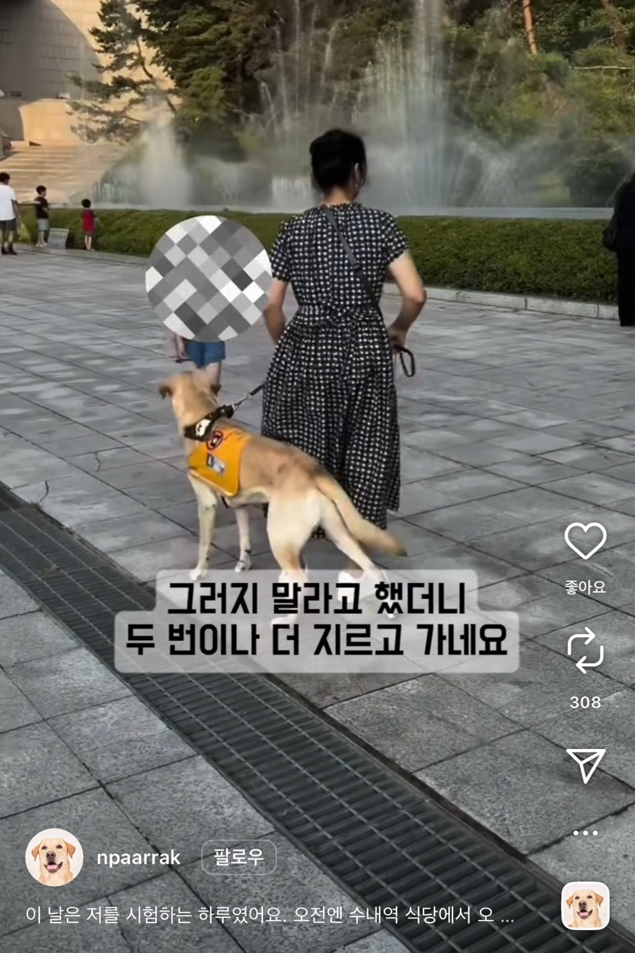 "애기들이 강아지(안내견)를 너무 무서워해서요... 이 쪽으로 안오시면 (좋겠어요)" | 인스티즈