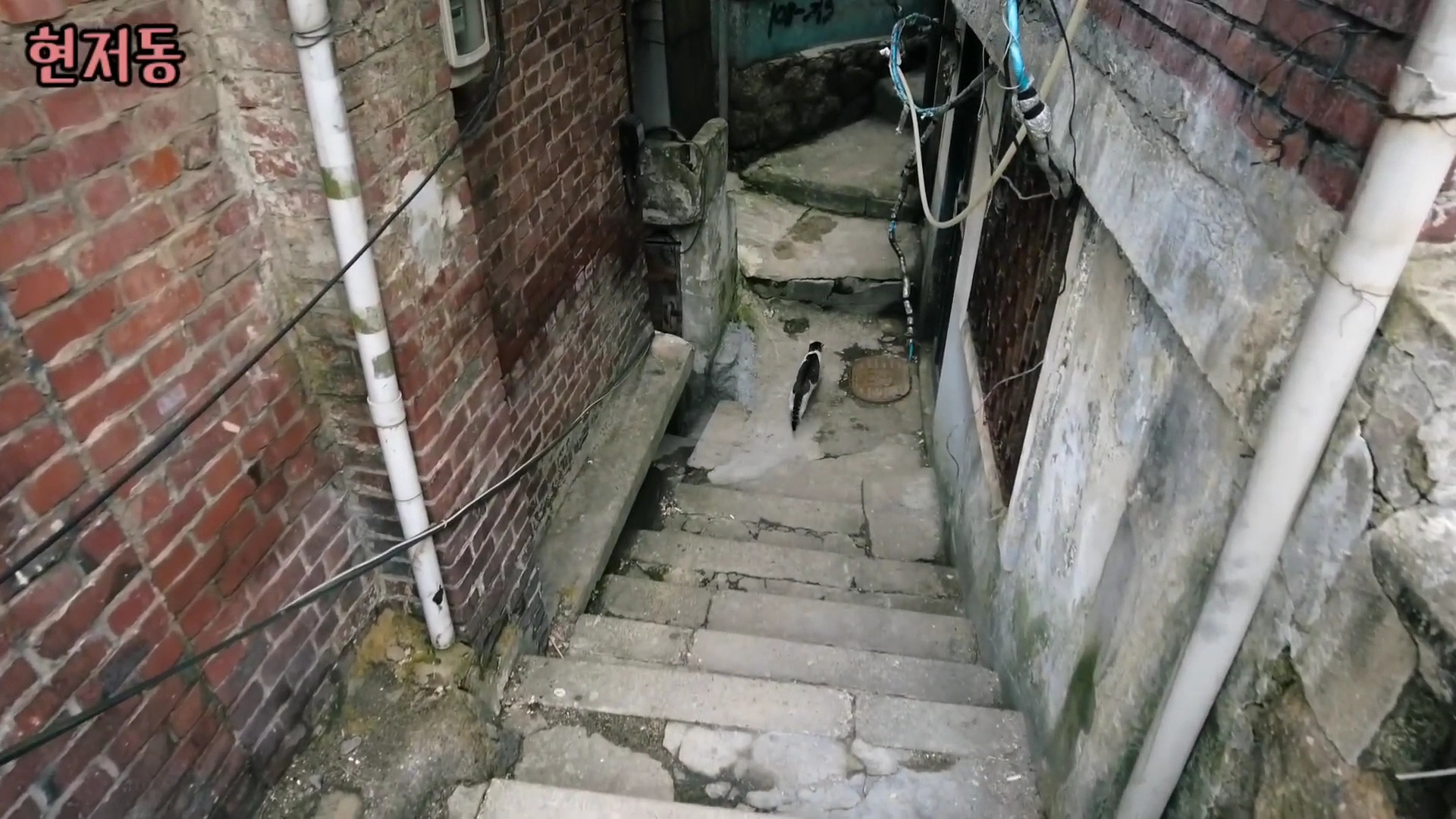 유령마을이라 불린다는 서울 달동네 현저동.jpg | 인스티즈