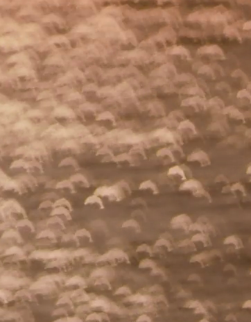 [이상한변호사우영우] 디테일 미쳤다는 말밖에 안나오는 돌고래 연출.gif | 인스티즈