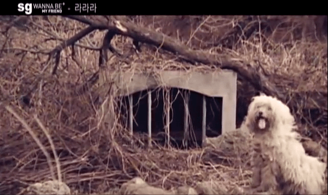 곡은 신나지만 뮤비는 공포 그 자체 | 인스티즈