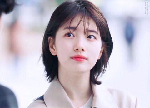 작가의취향 이미지