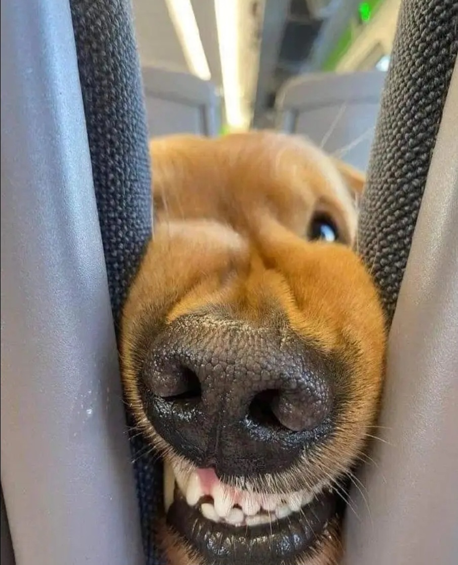 앞자리에 앉은 진상 손님 | 인스티즈