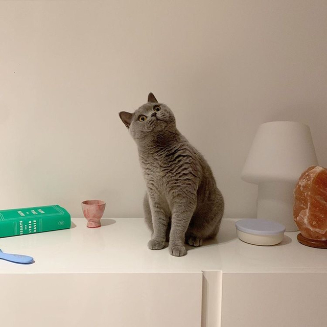 350경으로 화끈하게 살기 vs 350억으로 유유자적 살기 | 인스티즈