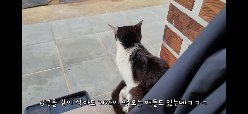 금은보화가 들어있는 박씨를 얼마나 받을지 궁금한 매탈남 | 인스티즈