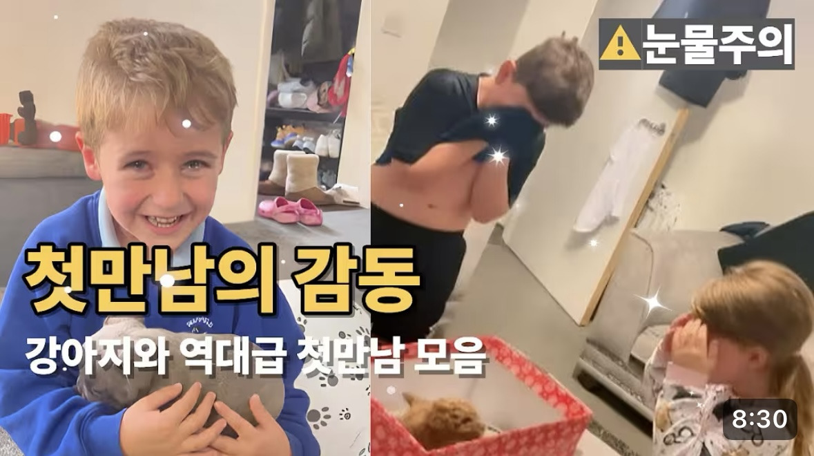 강아지 첫만남 레전드 모음 (감동주의 🥺) | 인스티즈