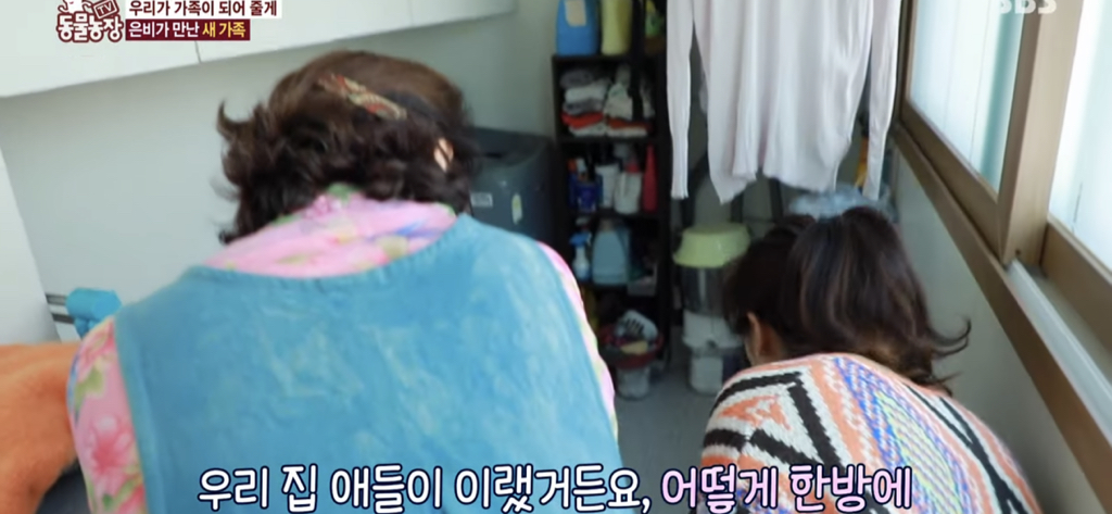서로를 위해 헤어지는 할머니와 은비 | 인스티즈