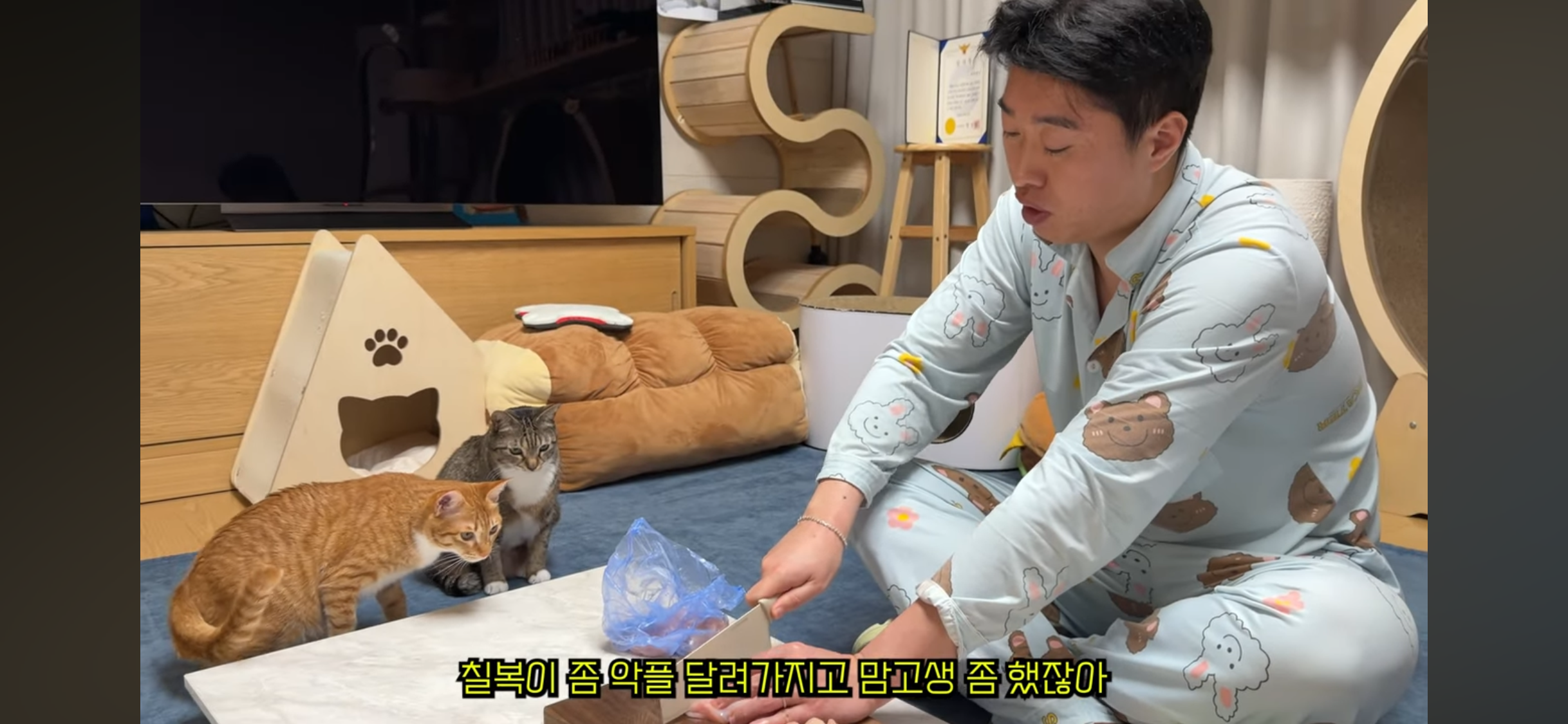 칠복이(0살 고양이)를 향한 악플 경고하는 언더월드 | 인스티즈
