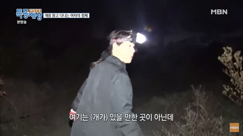 당신이 버린 강아지는 어떻게 되었을까 | 인스티즈