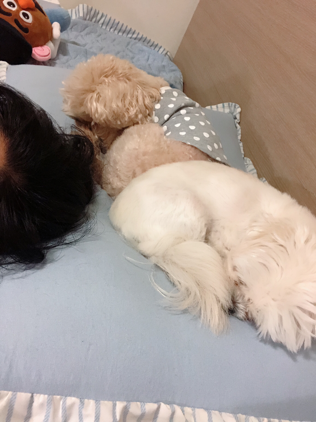 이 사진 너무 신기하지 | 인스티즈