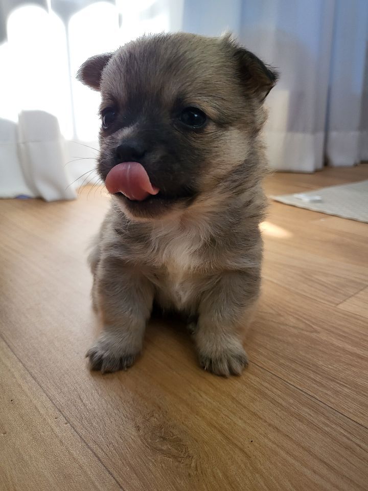 (공지라니... ++추가)새로생긴 회사 복지.. 미쳐서 도저히 일을 못하겠네.. (추가....)++추가 | 인스티즈