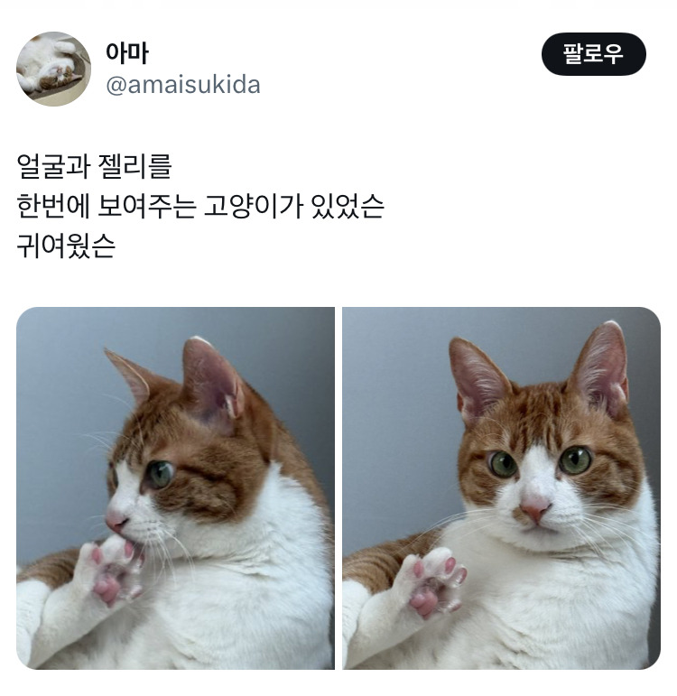 요즘 말투 배우기 : 재밌슨 먹었슨 배고팠슨? | 인스티즈